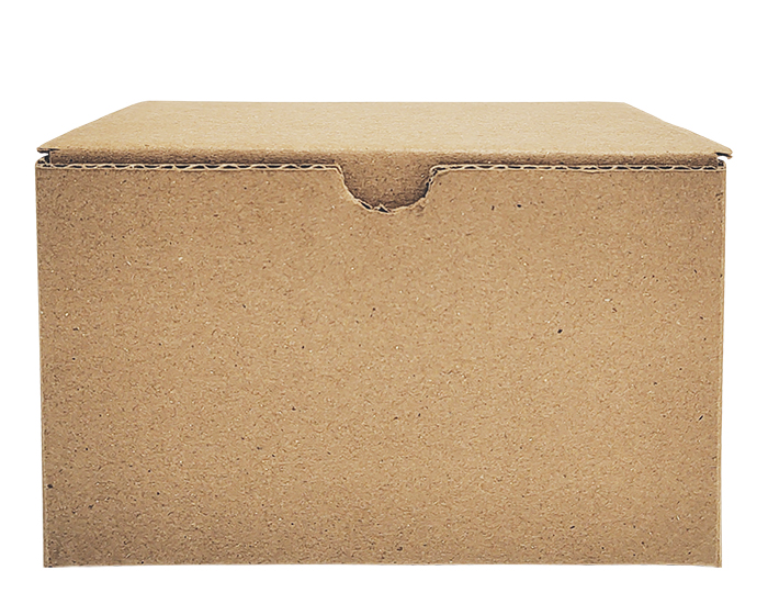 TT976 - CAJA No. 3