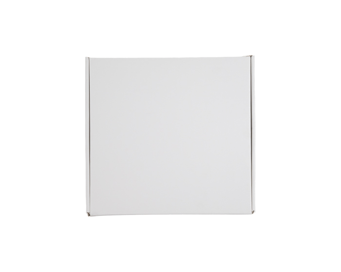 TT1117 - CAJA DE REGALO 20 x 20 x 6.5 CM